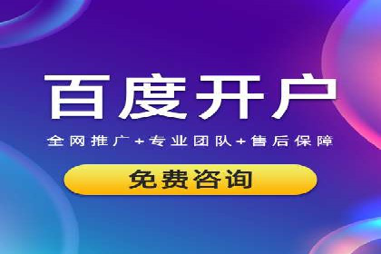 某某SEM服务公司：一例广告投放的优化与成果